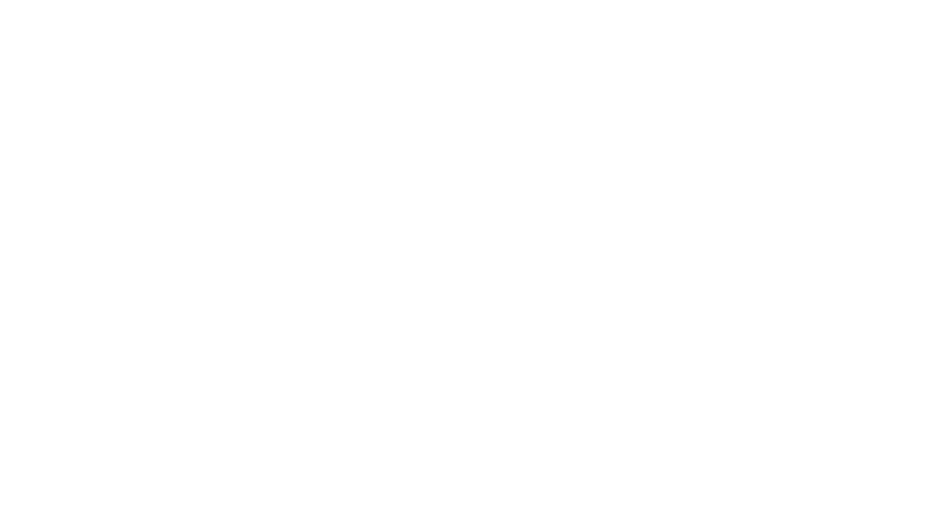 IdendefAI Logo - All white transparent